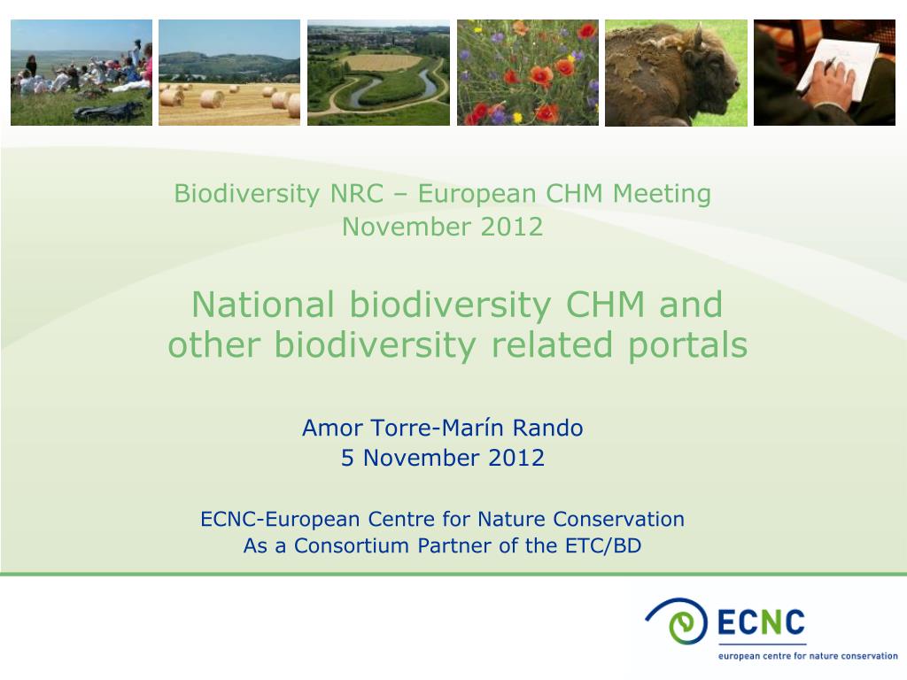 PPT - National biodiversity CHM and other biodiversity related portals  PowerPoint Presentation - ID:4237486