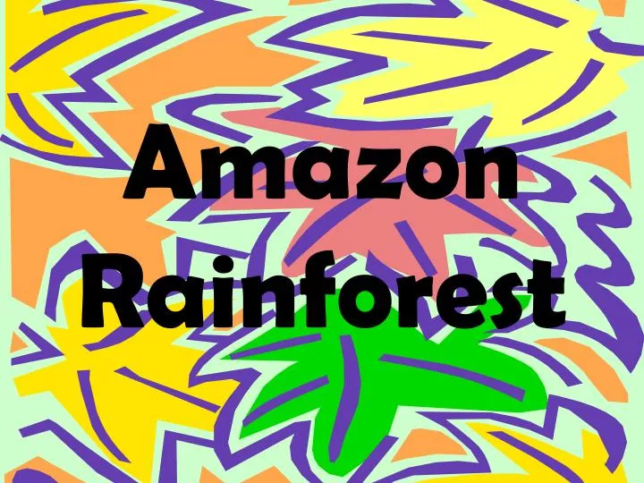 amazon rainforest n.