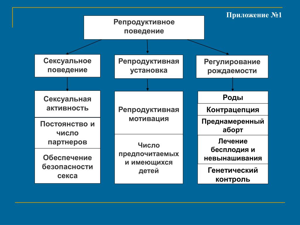 Репродуктивное российское общество. Репродуктивное поведение. Репродуктивное поведение населения. Факторы влияющие на репродуктивное поведение. Структура репродуктивного поведения.