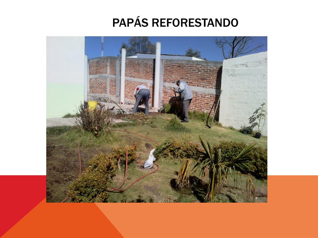 PPT ESCUELA PRIMARIA ALFREDO DEL MAZO VÉLEZ MEXICO