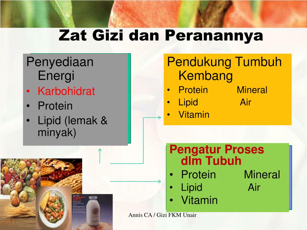 Protein minerals vitamins. Proteins and Minerals. Lipids Protein Words.