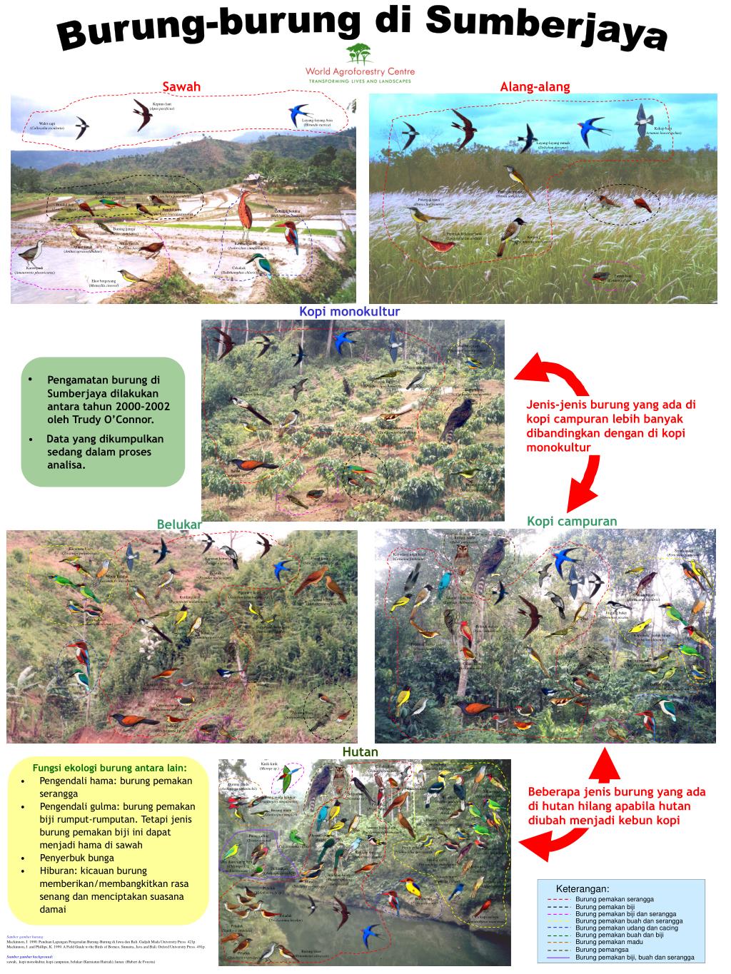 Ppt Burung Burung Di Sumberjaya Powerpoint Presentation Free