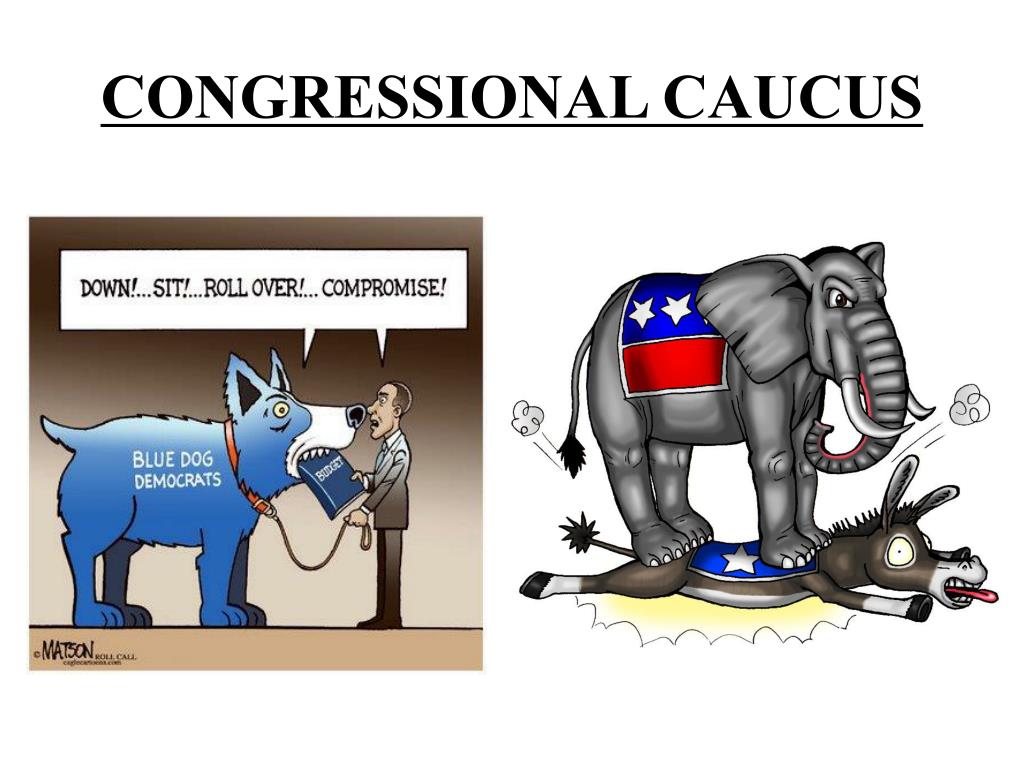 PPT - CONGRESS: The Legislative Branch PowerPoint Presentation, Free ...