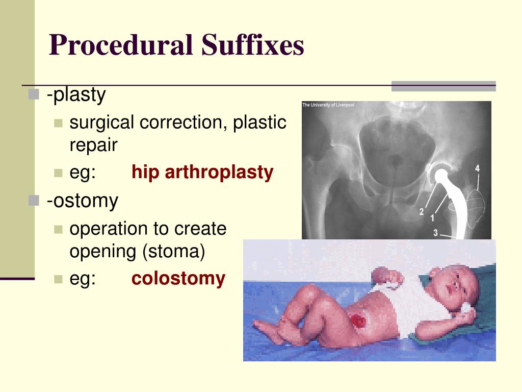 PPT - Basic Medical Terminology 1 PowerPoint Presentation, free