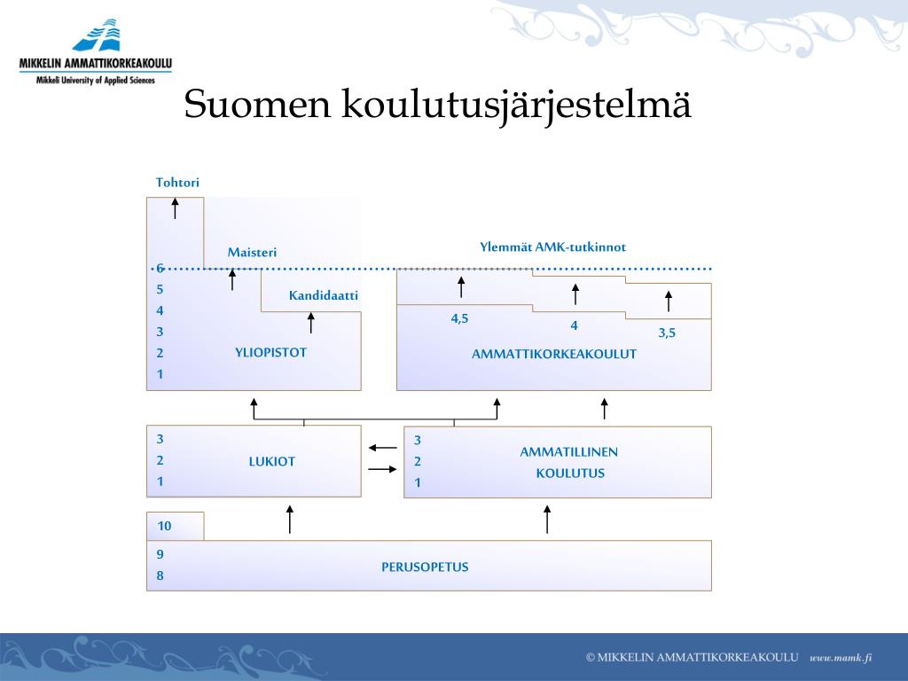 PPT - Suomen koulutusjärjestelmä PowerPoint Presentation, free download -  ID:4243648