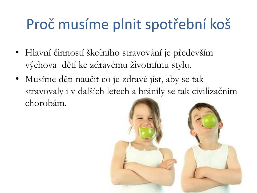 PPT - SPOTŘEBNÍ KOŠ PowerPoint Presentation, free download - ID:4244699