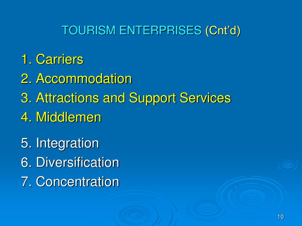 tourism enterprises meaning