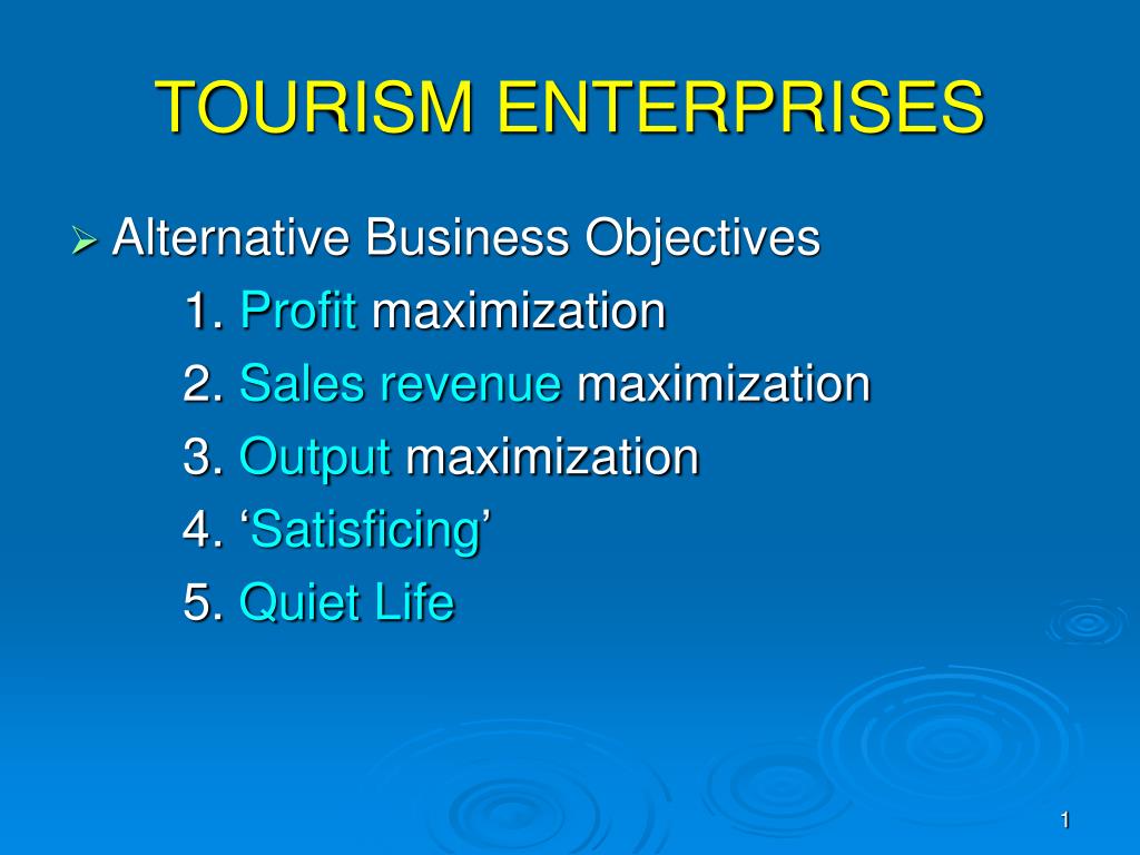 tourism enterprises meaning