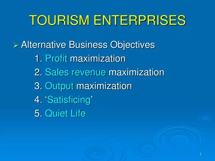 tourism enterprises n.