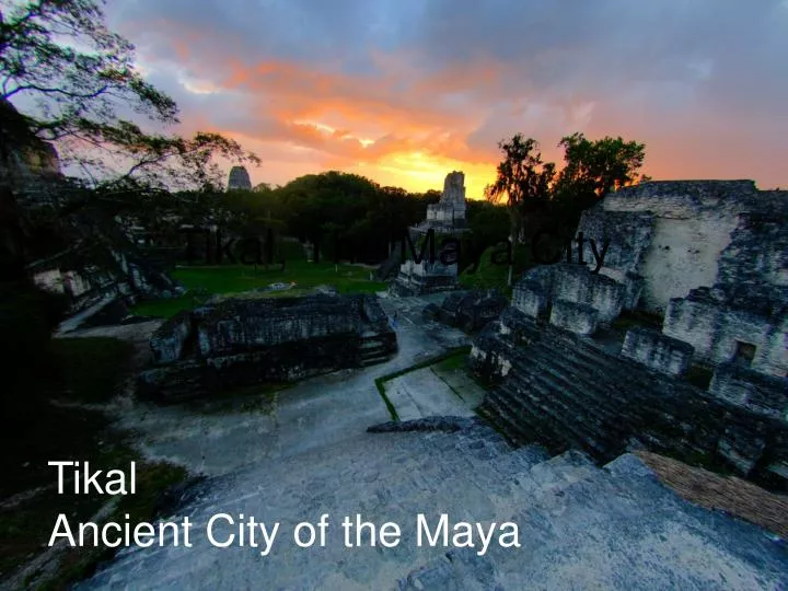 tikal the maya city n.