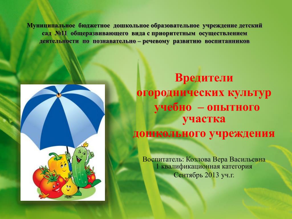 Учебно опытный участок в ДОУ по экологии. Выставка садово - огороднических культур в ДОУ по ФГОС.