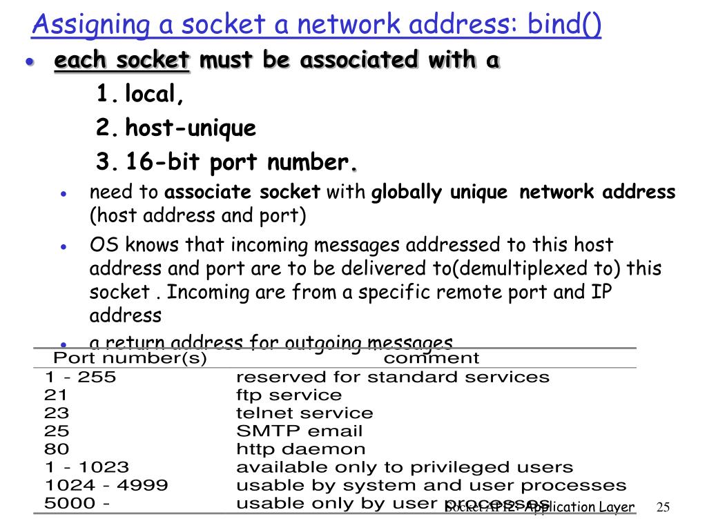 PPT Network Application Programming PowerPoint Presentation, free