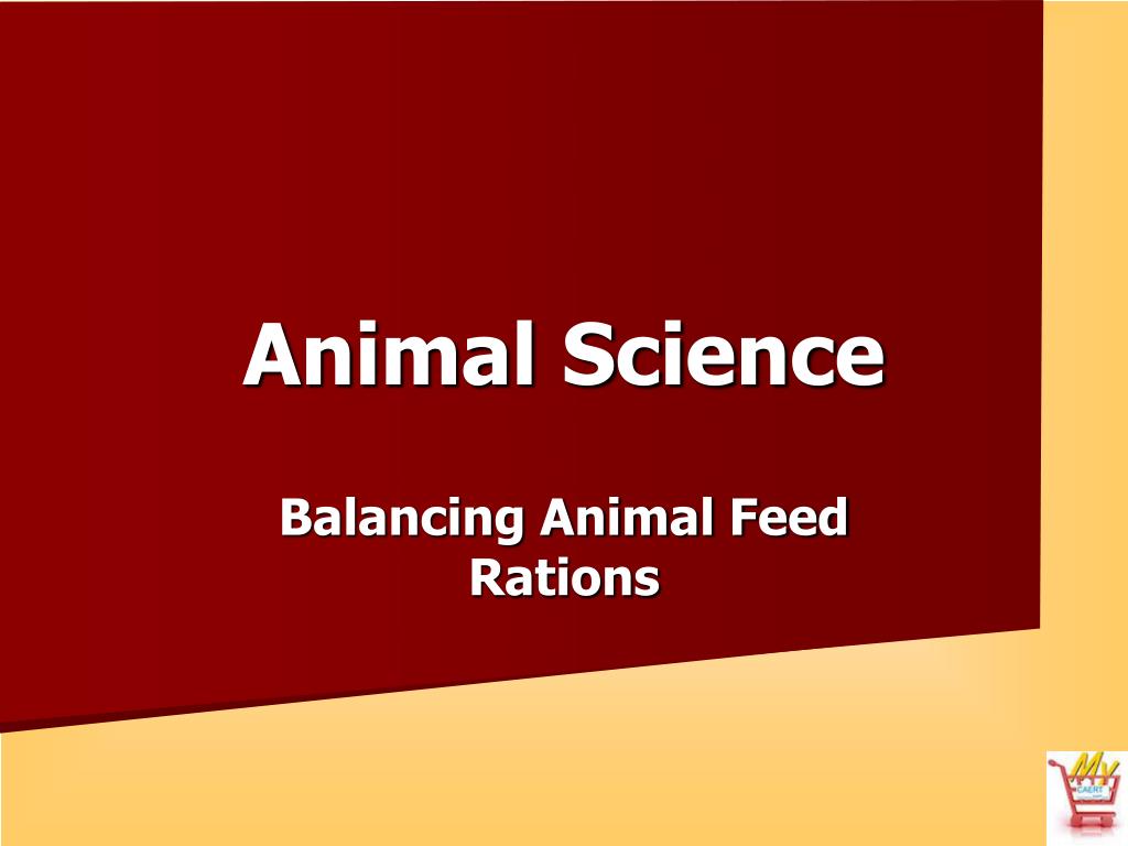 PPT - Animal Science PowerPoint Presentation, free download - ID:4250547