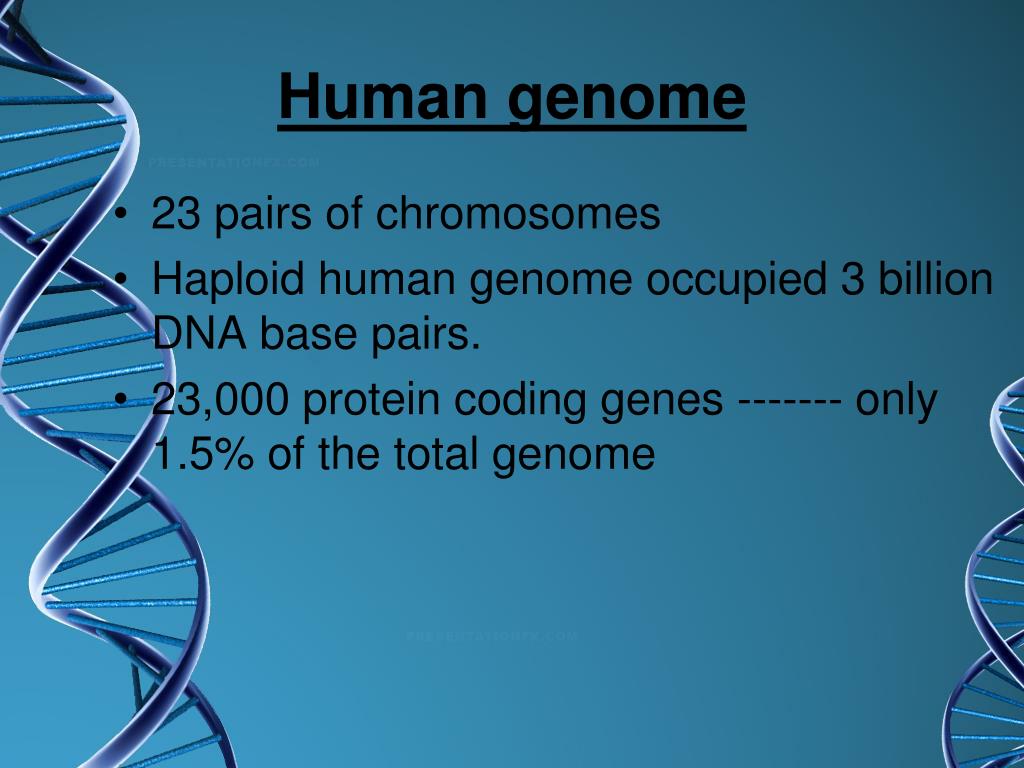 powerpoint presentation on human genome project