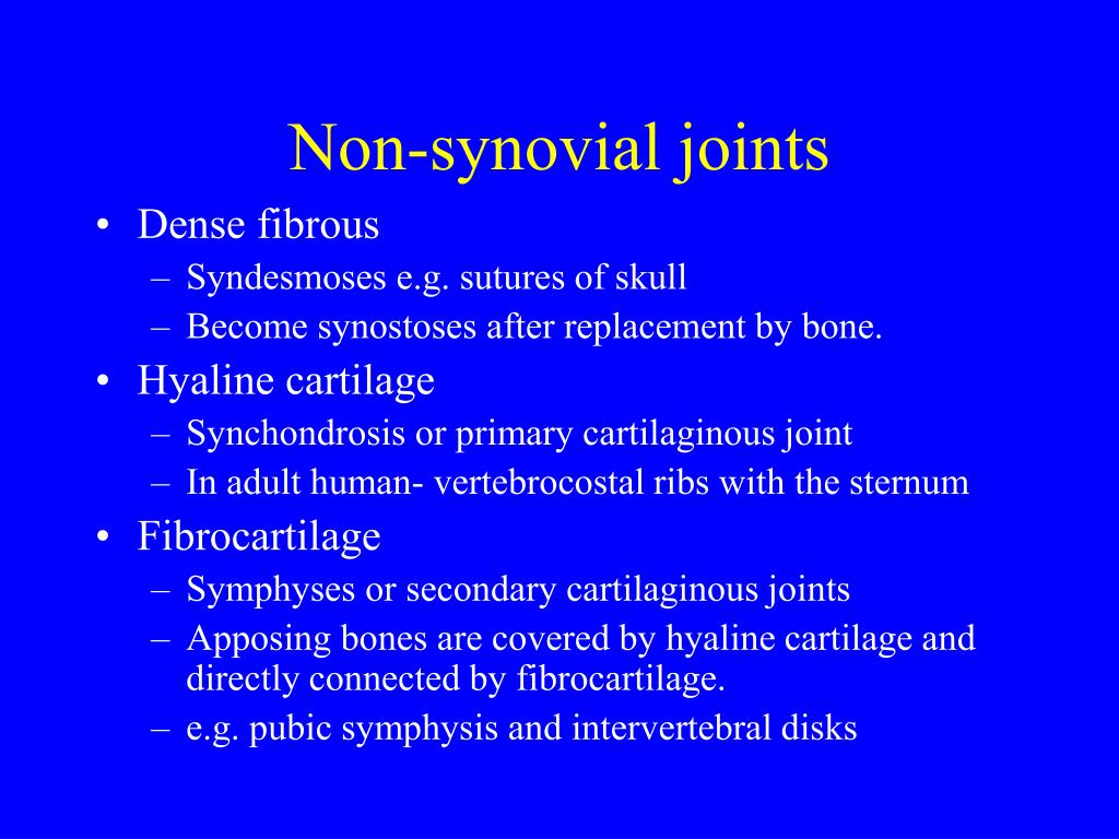 Synchondrosis Vs Synovial – O synchondrosis o cartilagenous o synovial o fibrous.