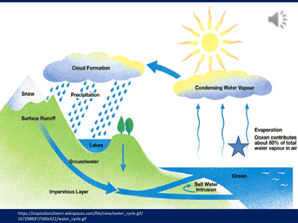 powerpoint presentation water cycle