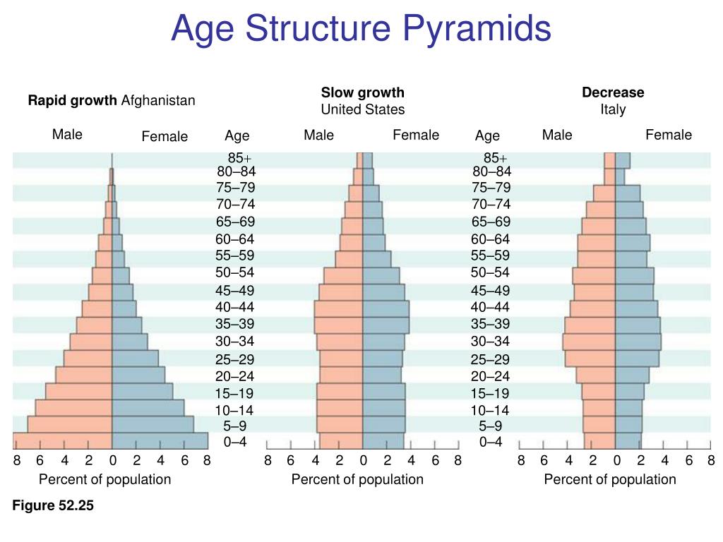 PPT - Ch. 46 - Part 2 - Regulation of Population Size PowerPoint ...