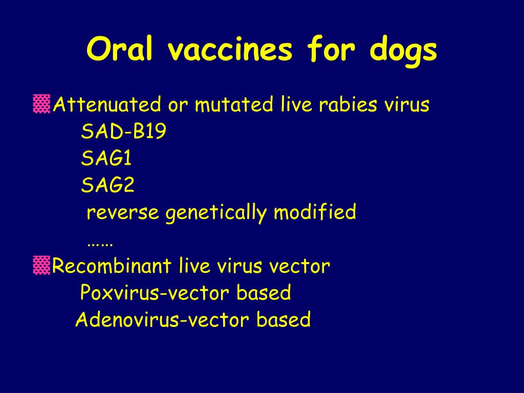 usafa immunization clinic