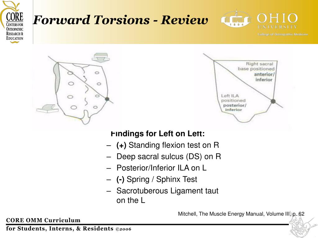 PPT CORE OMM Curriculum Board Review PowerPoint Presentation, free PPT CORE OMM Curriculum Board Review PowerPoint Presentation, free