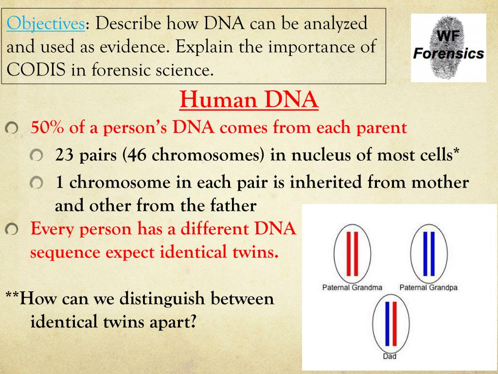 PPT - DNA Evidence PowerPoint Presentation, free download - ID:4257596