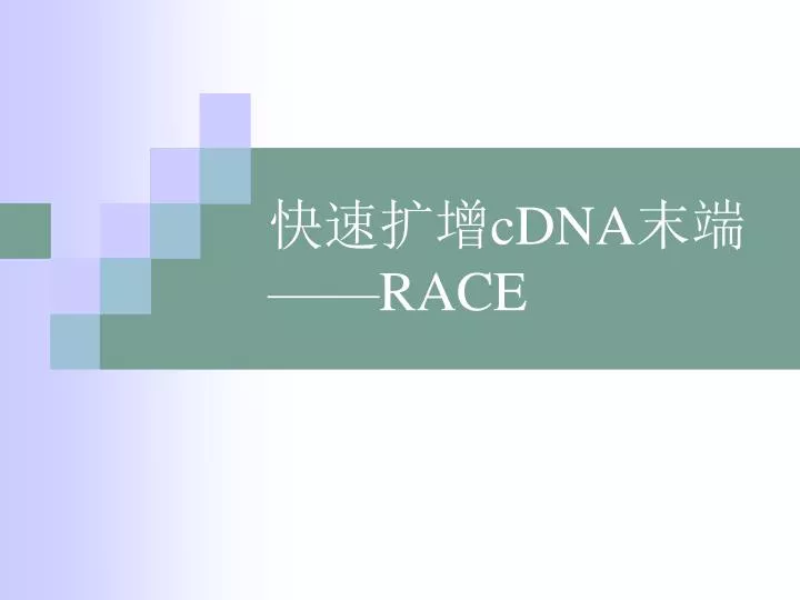 ppt 快速扩增cdna 末端 race powerpoint presentation free download id 4260370