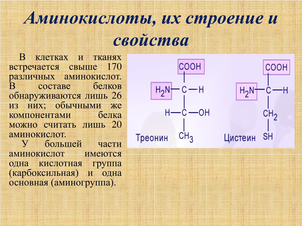 Оптические аминокислоты. Структура природных аминокислот. Природные аминокислоты строение. Строение естественных аминокислот. Общая структура α-аминокислот.