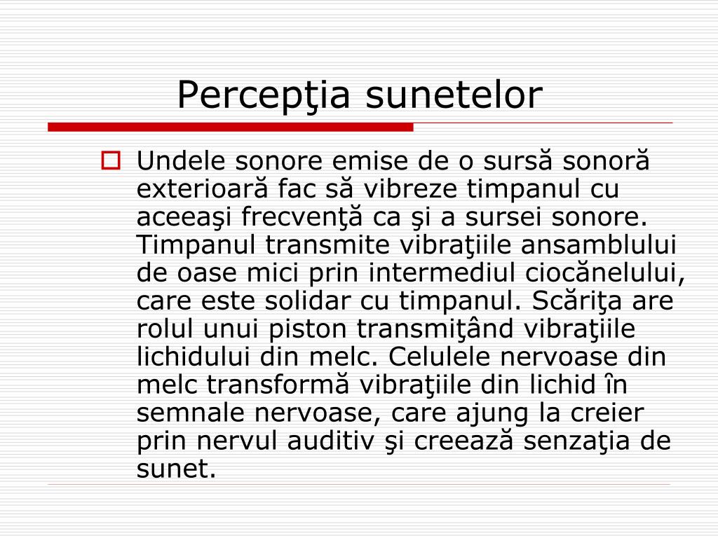 PPT - Percep ţ ia sunetelor PowerPoint Presentation, free download -  ID:4263652