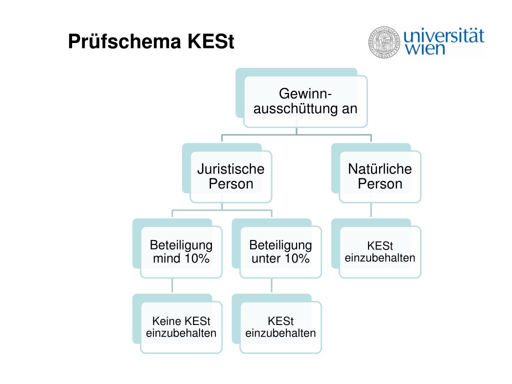 Wie Hoch Ist Die Kest