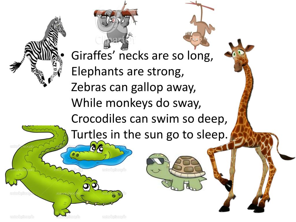 Giraffes are tall than elephants. Elephants are big/bigger animals как правильно. Giraffe can Swim. Подчеркни правильное прилагательное Elephants are big bigger animals. Elephants are big/bigger animals.