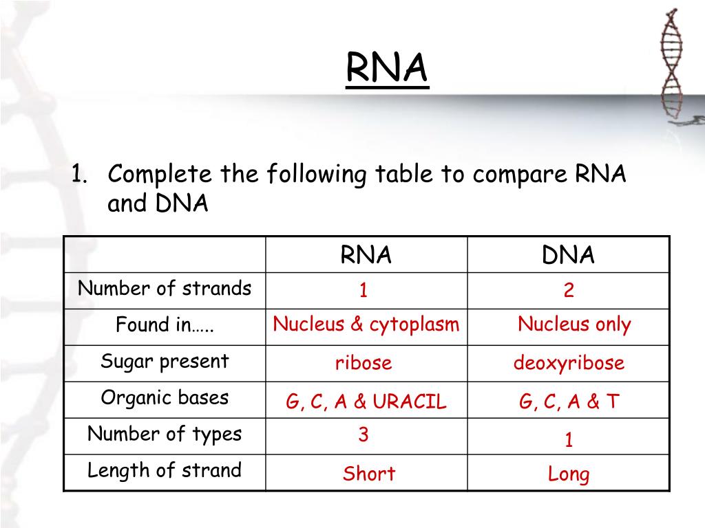 comparison of dna sequences in table ii