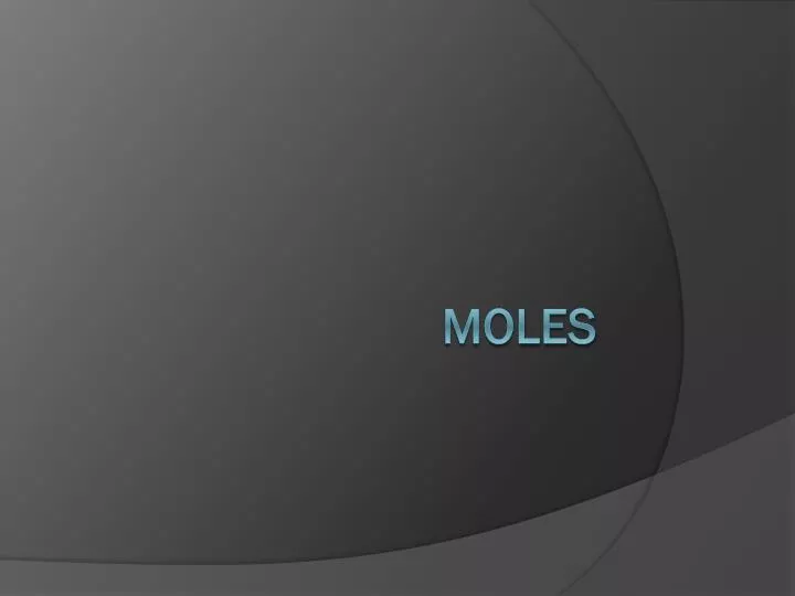 moles n.