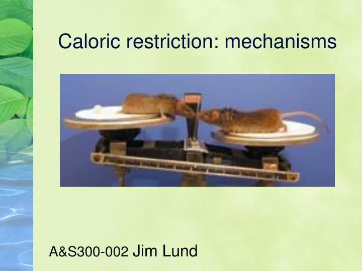 caloric restriction mechanisms n.
