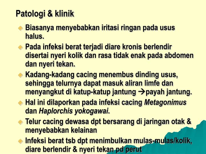 PPT - TREMATODA USUS PowerPoint Presentation - ID:4270276