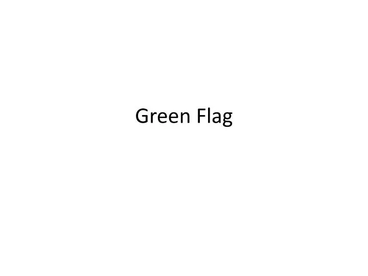 green flag n.