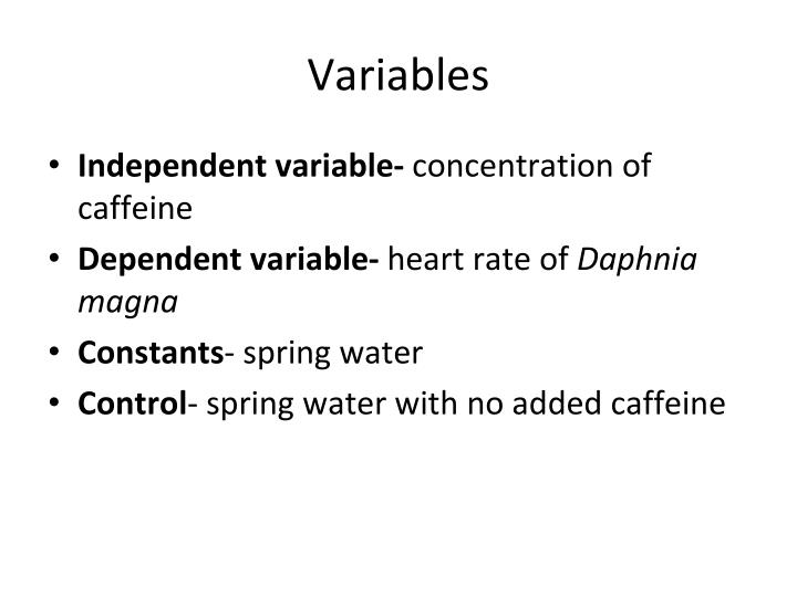 daphnia heart rate caffeine experiment write up