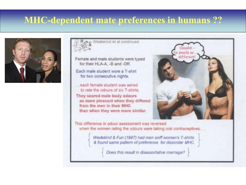 PPT - The MHC complex: genetics, function and disease association  PowerPoint Presentation - ID:4273043