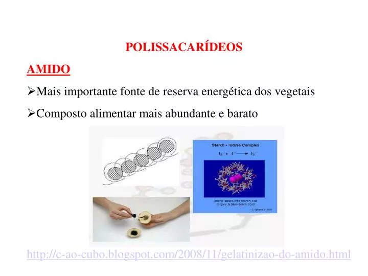 Polissacarídeos De Reserva Energética De Origem Animal