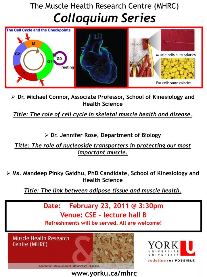 the muscle health research centre mhrc colloquium series n.