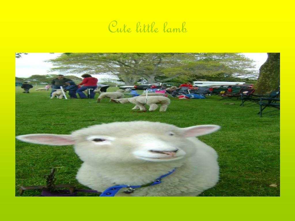 PPT AG DAY PowerPoint Presentation, free download ID4274809