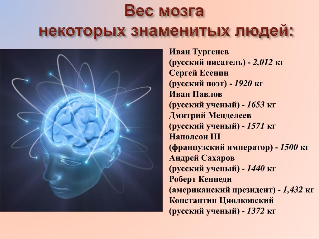 Мозг человека используется на процентов. Вес мозга. Масса мозга известных людей. Масса человеческого мозга. Вес головного мозга у взрослого человека.