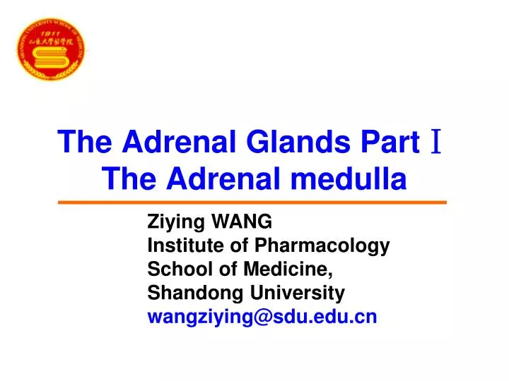 the adrenal glands part the adrenal medulla n.