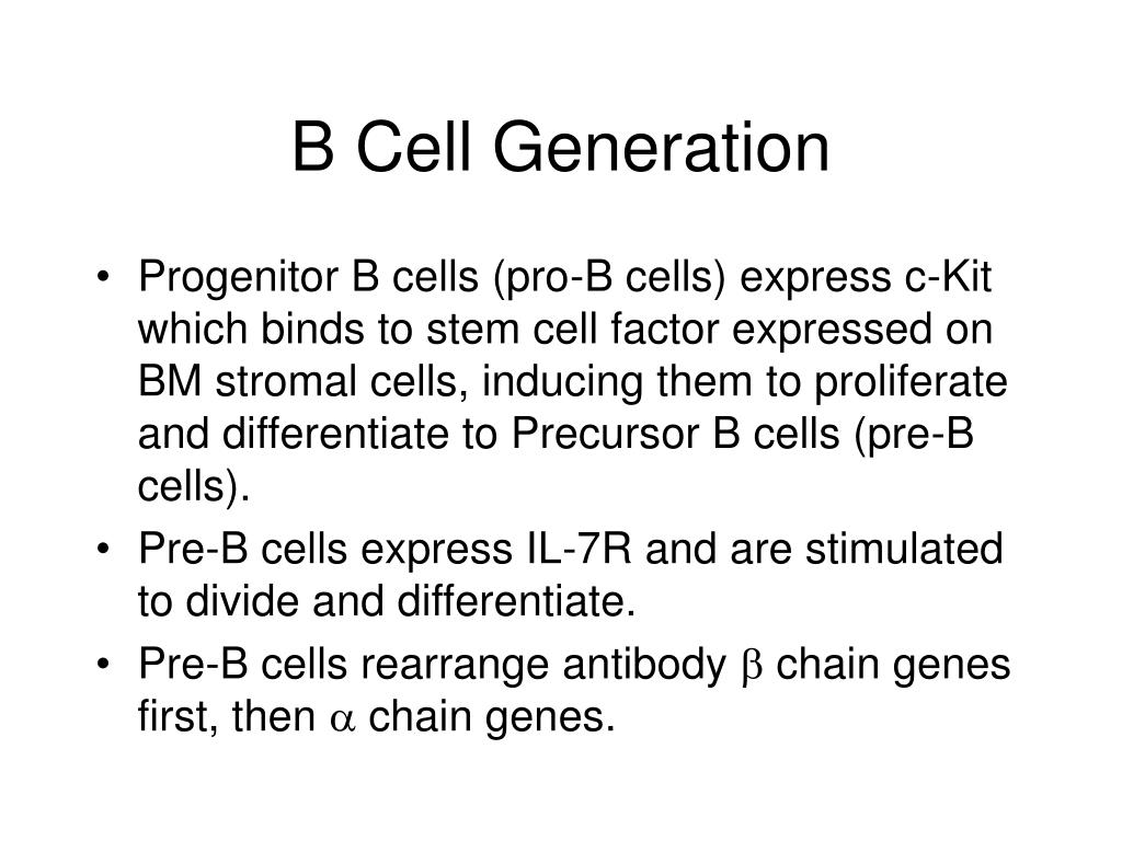 PPT - B Cell Generation, Activation, And Differentiation PowerPoint ...