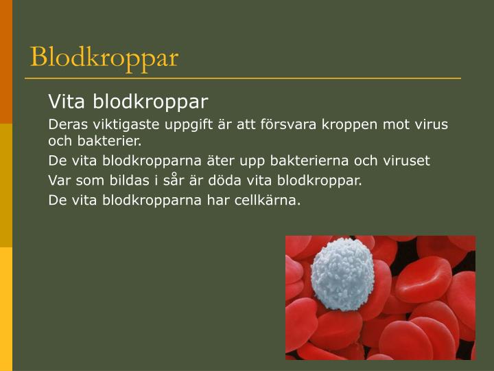 vad gör vita blodkroppar vad gör vita blodkroppar