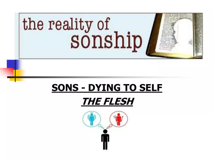 sons dying to self the flesh n.