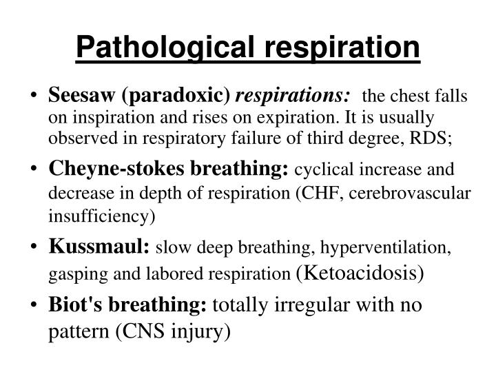 PPT - Anatomy & Physiology of the respiratory system in children ...