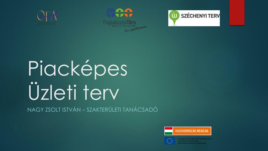echo Have a picnic excess PPT - Piacképes Üzleti terv PowerPoint Presentation, free download -  ID:4282907
