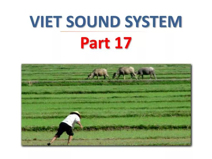 viet sound system part 17 n.