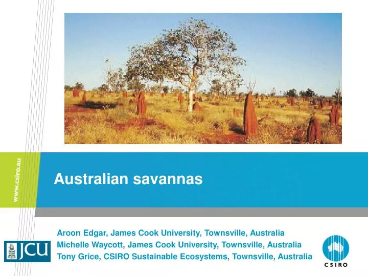 australian savannas n.