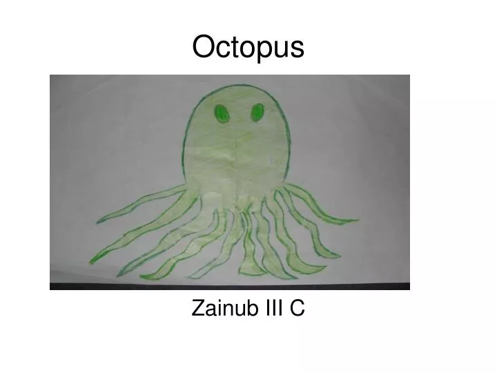 octopus n.