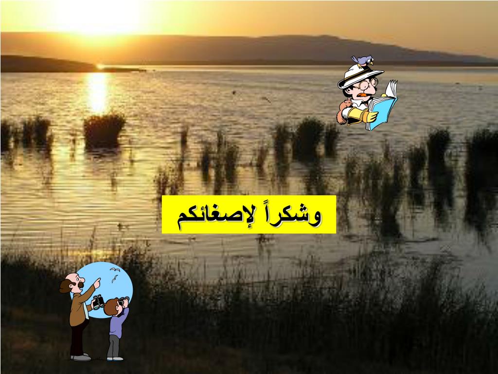 Ppt د زهير مصري خبير في ادارة الأراضي وصيانة التربة الجمعية الوطنية للتنمية البيئية Nade Powerpoint Presentation Id 4284184
